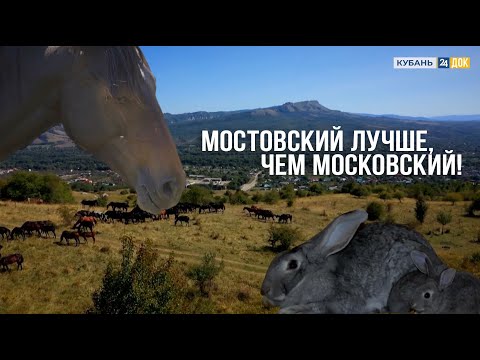 Видео: Агронорм: Дикие кони и  ленивый кроликовод