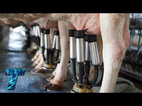 Видео: ИННОВАЦИОННЫЕ ТЕХНОЛОГИИ В СЕЛЬСКОМ ХОЗЯЙСТВЕ
