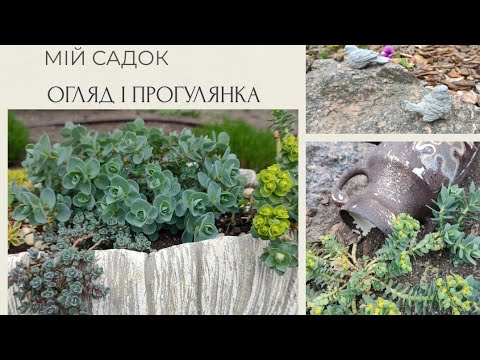 Видео: Чекаю на дощ , прогулюючись садом