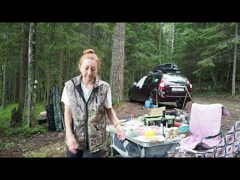 Видео: Ладога, моя любимая Ладога в июле.2024