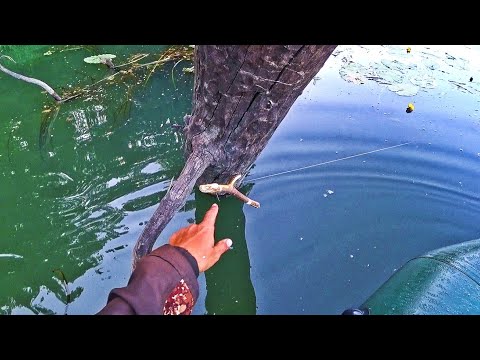 Видео: ПРОВЕРИЛ ЛЕСКУ ИДУЩУЮ В КУСТЫ И ОФИГЕЛ! ЭТО РЫБАЛКА МЕЧТЫ! Ловля рыбы на реке с ночевкой 2023.