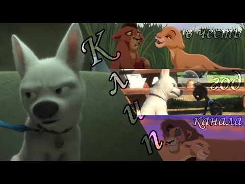 Видео: Вольт и Кову клип в честь год канала! 🥰