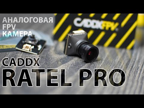 Видео: CADDX RATEL PRO / АНАЛОГ ЖИВ! / ОДНА ИЗ ЛУЧШИХ FPV КАМЕР ДЛЯ ВЕЧЕРНИХ ПОЛЕТОВ