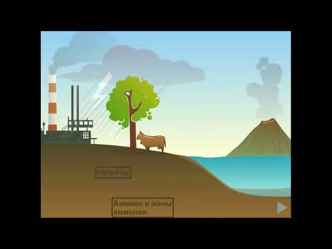 Видео: 9_Grade_Biology_Nitrogen cycle. Азот айналымы 9 класс