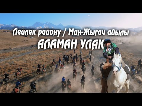 Видео: Лейлек / Мин-Жыгач / Аламан улак / 03-ноябрь 2024-жыл
