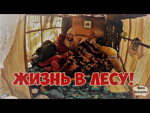 Видео: ЖИЗНЬ В ЛЕСУ / ФОТО НА ПАМЯТЬ / 457 серия (18+)
