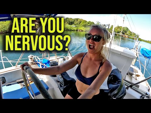 Видео: Нервничаете? Плавание по мелководью в мангровых зарослях Бокас-дель-Торо, Панама. Эпизод 59