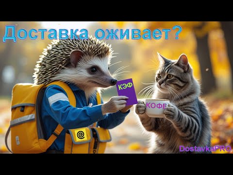 Видео: Кэфы потихоньку возвращаются