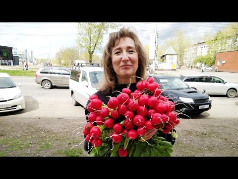 Видео: РЕДИС. КАК ЗАРАБОТАТЬ? ДОМАШНИЙ БИЗНЕС. ЛИЧНЫЙ ОПЫТ!