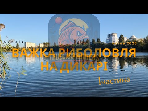 Видео: Ми шукали коропа 4 доби: човен, кораблик, підводні камери — результат вас здивує!