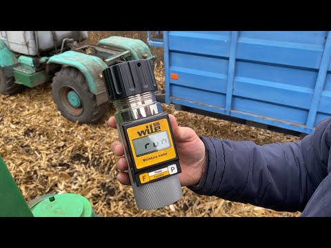 Видео: Ооооой: є на що подивитися. Демо поле кукурудзи