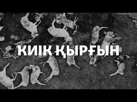 Видео: Киік қырғын