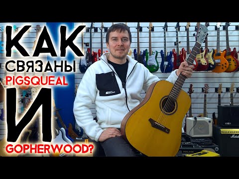 Видео: Обзор гитары Gopherwood i 200 R