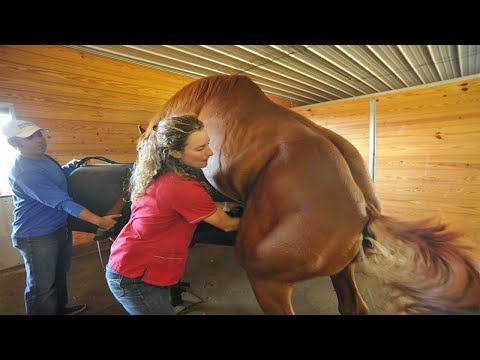 Видео: Процессы Производства, от Которых Волосы Встают Дыбом! Топ 10