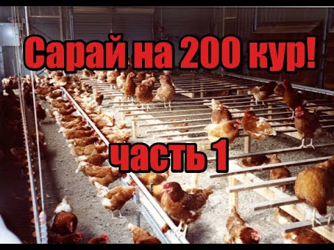 Видео: Курятник на 200 кур! Строю сарай на 200 кур несушек! Нюансы в строительстве! Главные мелочи!