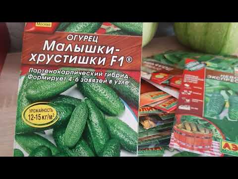 Видео: Семена на 2024 год!