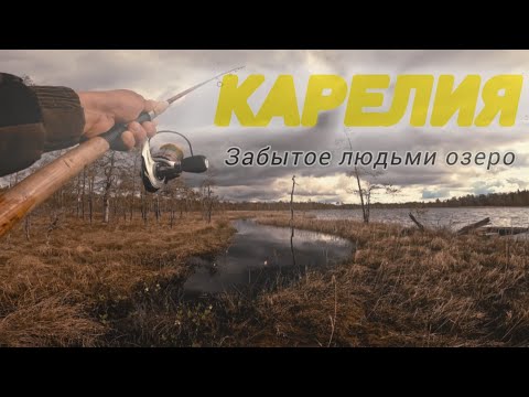 Видео: ИСКРОМЕТНЫЙ КЛЁВ ЩУКИ.НЕ ЗРЯ СХОДИЛИ НА НЕИЗВЕДАННУЮ ЛАМБИНУ. РЫБАЛКА В КАРЕЛИИ.