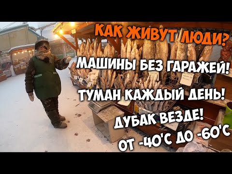 Видео: Как живут люди в самом холодном городе на планете!