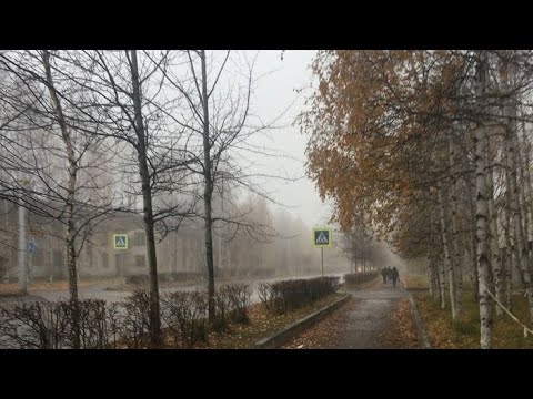 Видео: осенний плейлист🍂| autumn playlist🍂