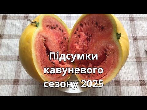 Видео: Підсумки кавуневого сезону 2025 .