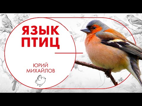 Видео: Язык птиц. Юрий Михайлов
