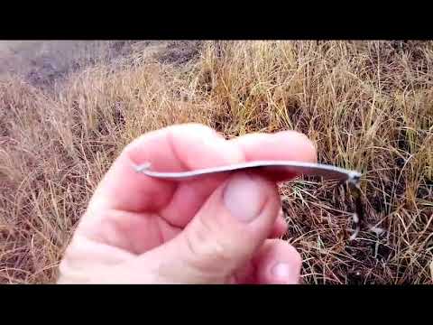 Видео: Будни егеря. Блесна. 10.11.23