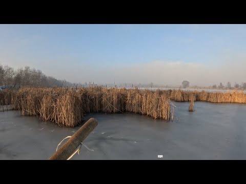 Видео: Нарешті Перша КРИГА 2025 Зима здуріла