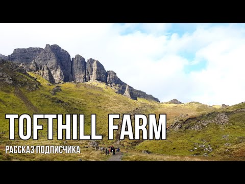 Видео: Tofthill Farm - работа на ферме в Шотландии | Сбор клубники на полу | Рассказ от подписчика