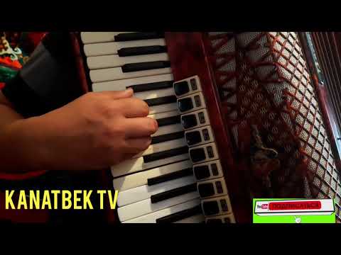 Видео: Аккордеон сабагы #3 #кыргызчаырлар#аккордеон#үйрөн#