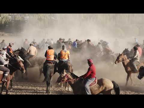 Видео: Жуалы ауданы, Көлтоған ауылы, Сиқымдар көкпары 18.10.2020 жыл.   II - бөлім