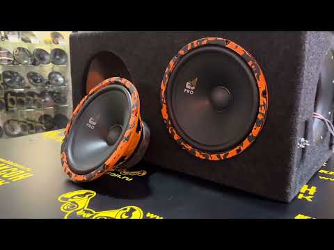 Видео: Обзор Динамиков DL Audio Pro 250 Midbass💪