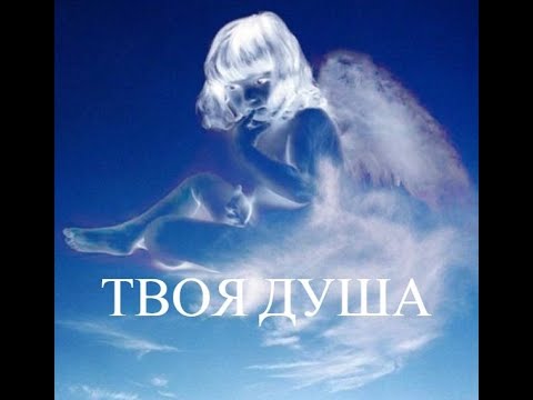 Видео: Вспомнили три души | Встретили добрых людей! | Лихачёвское ✞ Уборщик заброшенных могил ✞