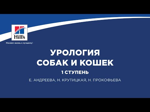Видео: Вебинар на тему: «Урология собак и кошек. 1 ступень».