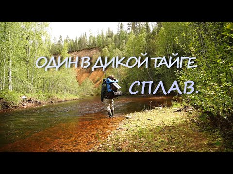 Видео: ЗАБРАЛСЯ В САМУЮ ГЛУШЬ. ТАЕЖНАЯ РЕЧКА. СПЛАВ. РЫБАЛКА НА ХАРИУСА. ОДИН В ЛЕСУ.