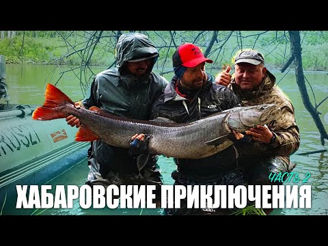 Видео: Хабаровские приключения, часть 2 | Андрей Старков