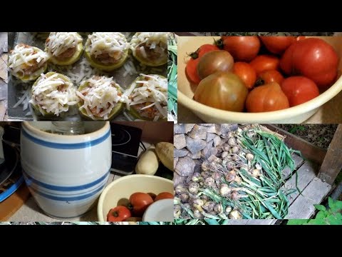Видео: Дача, убрали лук, солю огурцы, кабачки на ужин.. 
