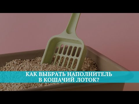 Видео: Как выбрать наполнитель в кошачий лоток?