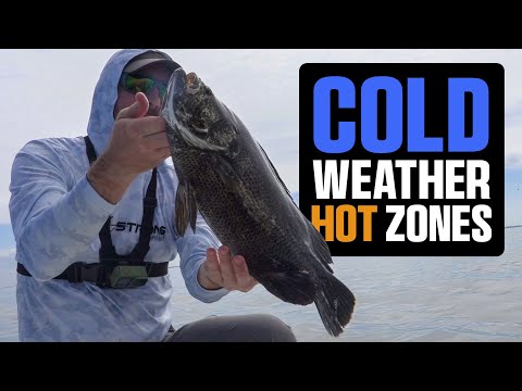 Видео: Жаркое место в холодную погоду? (Плюс живая наживка против креветок)