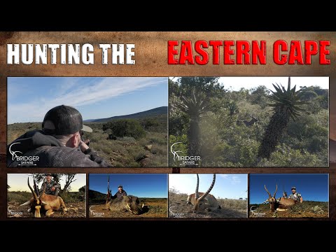 Видео: Охота в Восточной Капской провинции с Bridger Safaris