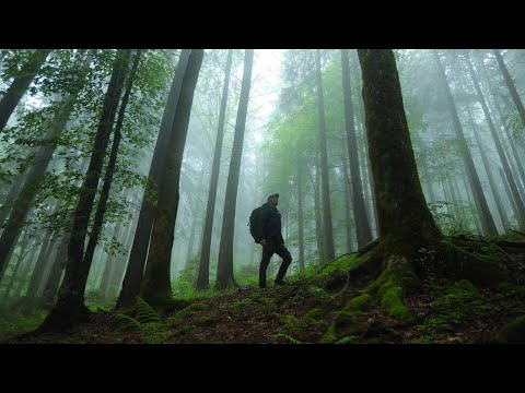 Видео: Путешествия с закрытыми границами.