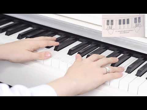 Видео: МУЗЫКАНТ песенка на чёрных клавишах
