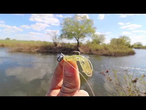 Видео: БЕЗОТКАЗНАЯ ПРИМАНКА В БЕСКЛЕВЬЕ!!! Рыбалка ВЕСНОЙ на РЕКЕ!