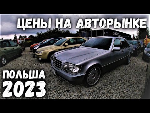 Видео: ЦЕНЫ НА АВТО БОЛЬШОМ АВТОРЫНКЕ В ПОЛЬШЕ | ОБЗОР ЦЕН НА ДЕШЕВЫЕ АВТО В ПОЛЬШЕ 2023