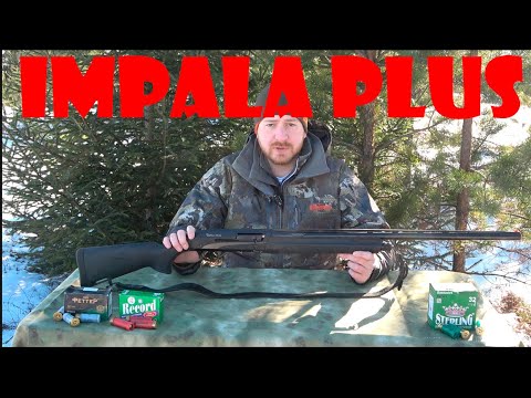 Видео: СТРЕЛЯЕМ ПУЛЕВЫМИ И ДРОБОВЫМИ ПАТРОНАМИ. IMPALA PLUS
