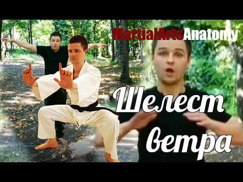 Видео: [Фейкстайл] Грустный мастер жесткого цигун - Шелест ветра