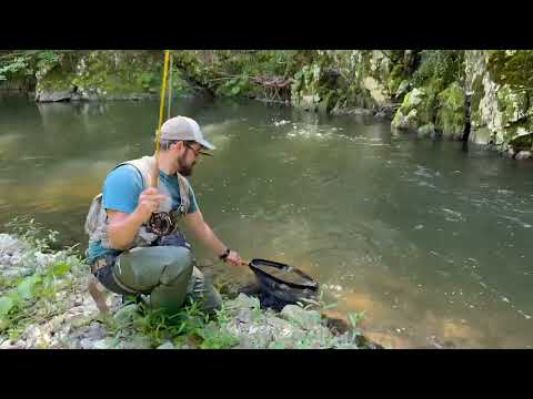 Видео: Fly Fishing in Serbia. Рыбалка нахлыстом в Сербии
