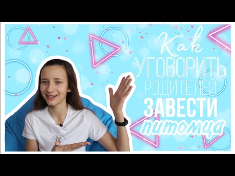 Видео: КАК УГОВОРИТЬ РОДИТЕЛЕЙ КУПИТЬ ПИТОМЦА? / котёнок,черепашка,морская свинка,собака,попугай...🐶🐱🐹🐢