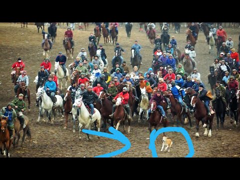 Видео: Бузкаши Калон Дар Мачитон Кисми 1-Ум  25 12 2021