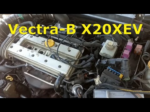Видео: #2 Vectra-B X20XEV. Запуститься?