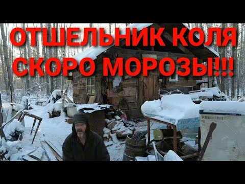 Видео: ОТШЕЛЬНИК КОЛЯ/ СКОРО МОРОЗЫ #жизньвтайге #отшельник #тайга #смотри #shots